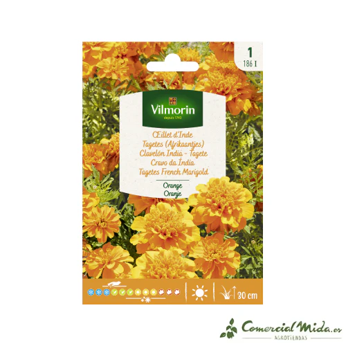 VILMORIN Semillas Clavelón India Naranja - Imagen 2
