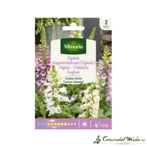 VILMORIN Semillas Digital Excelsior Variada