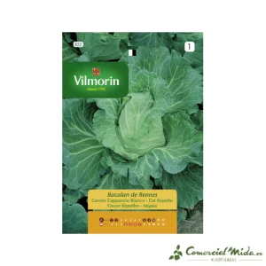 Semillas de COL REPOLLO BACALAN DE RENNES Vilmorin 6g