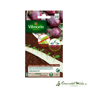 Semillas de REMOLACHA DE MESA GRENADE HF1 (cultivo fácil)