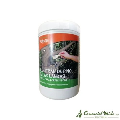 Masilla Cortes Pasta de Poda con Alquitrán de Pino de Las Landas - 800 gr
