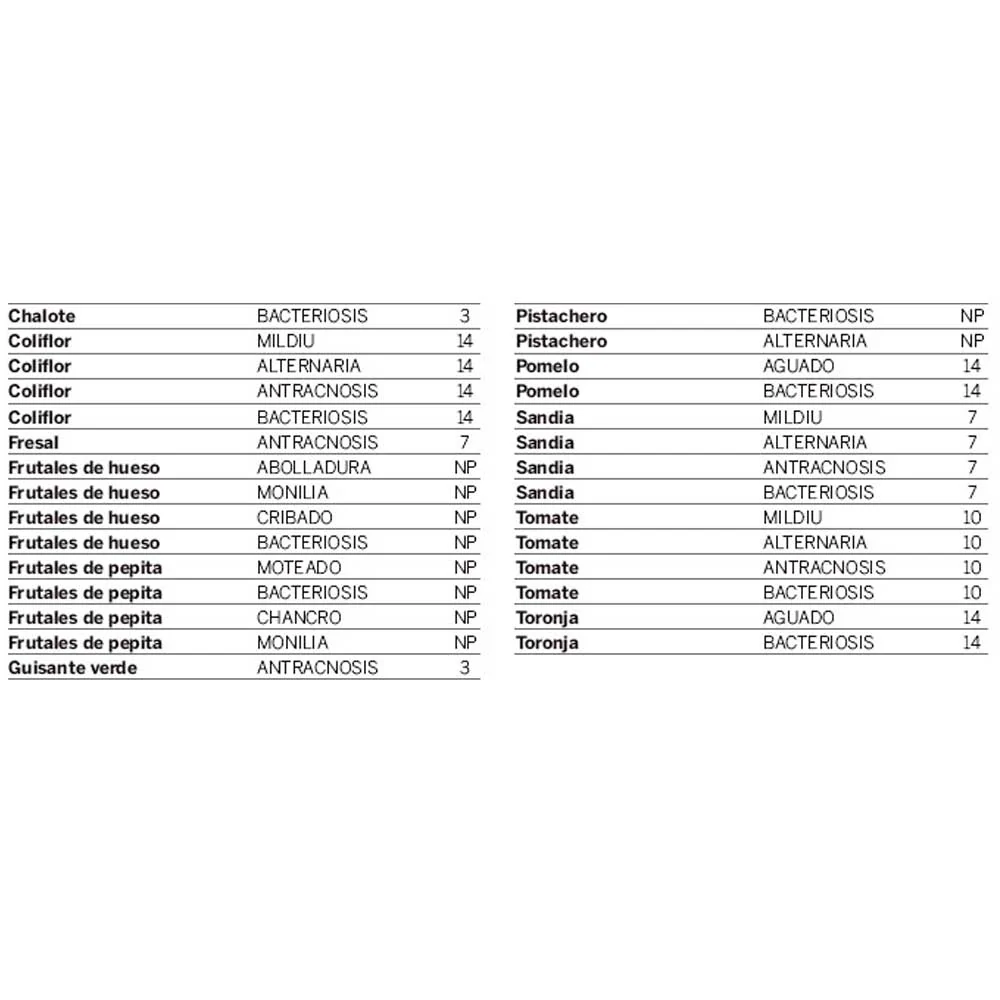 Fungicida CALDO BORDELÉS 500g Massó - Imagen 3