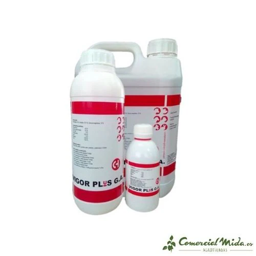 Pienso Complementario CHEMICAL IBÉRICA Vigor Plus GA para Animales - Imagen 2