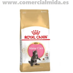 Pienso ROYAL CANIN KITTEN MAINE COON para gatitos