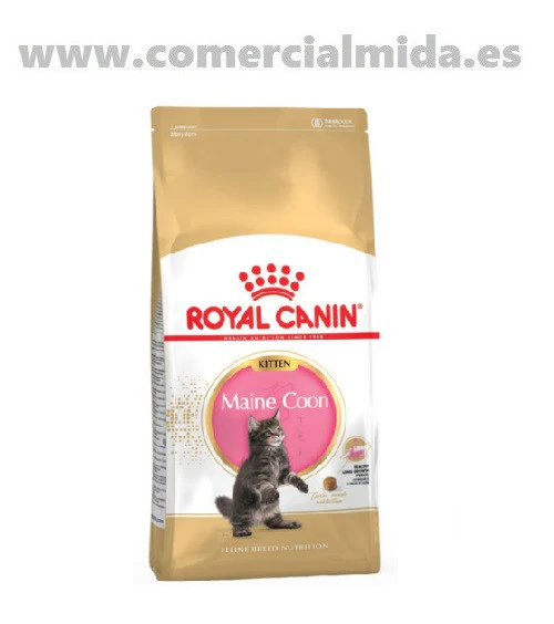 Pienso ROYAL CANIN KITTEN MAINE COON para gatitos - Imagen 2