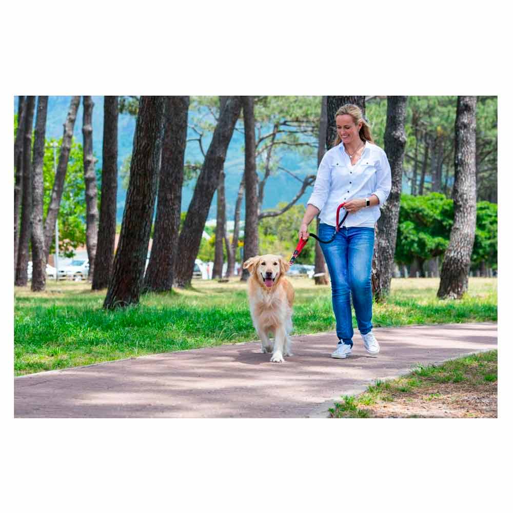 ROGZ Control Lead - Imagen 9