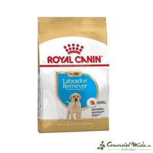 Pienso ROYAL CANIN LABRADOR RETRIEVER JUNIOR cachorros (hasta los 15 meses)