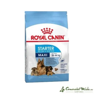 Pienso ROYAL CANIN MAXI STARTER cachorros tamaño grande (Hasta 2 meses) y madres gestantes
