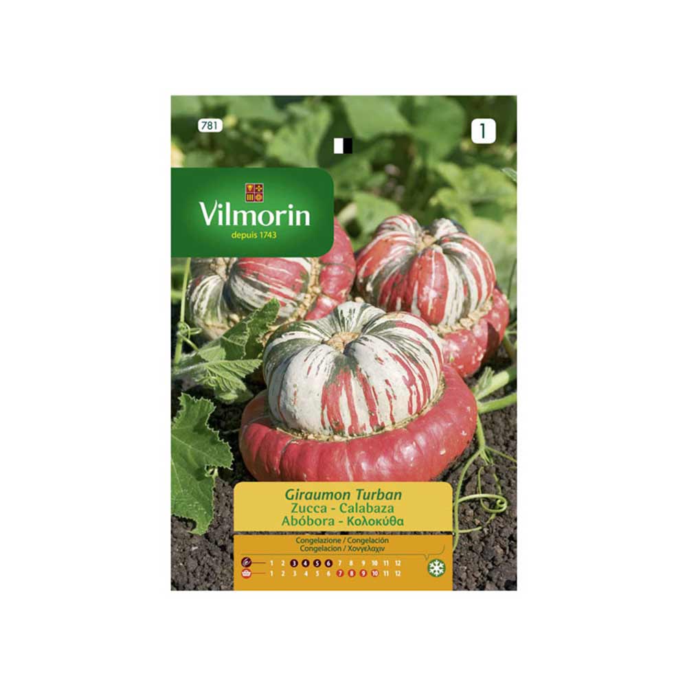 Semillas Calabaza Giraumound Turban 4gr VILMORIN - Imagen 2