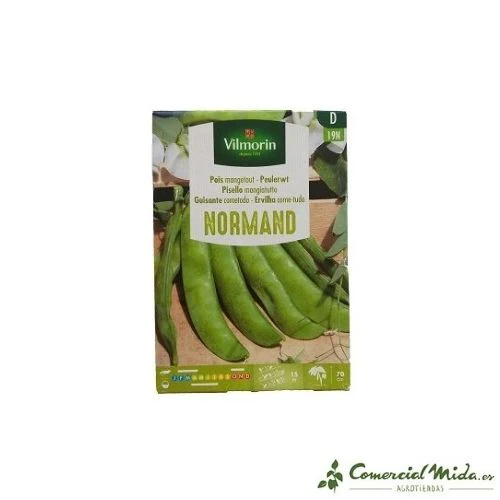 VILMORIN Semillas de Guisante Cometodo Normand 125 gr - Imagen 2