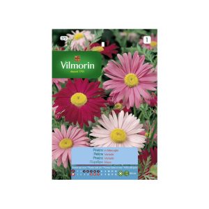 Semillas de Pelitre Gigante 0,5gr VILMORIN